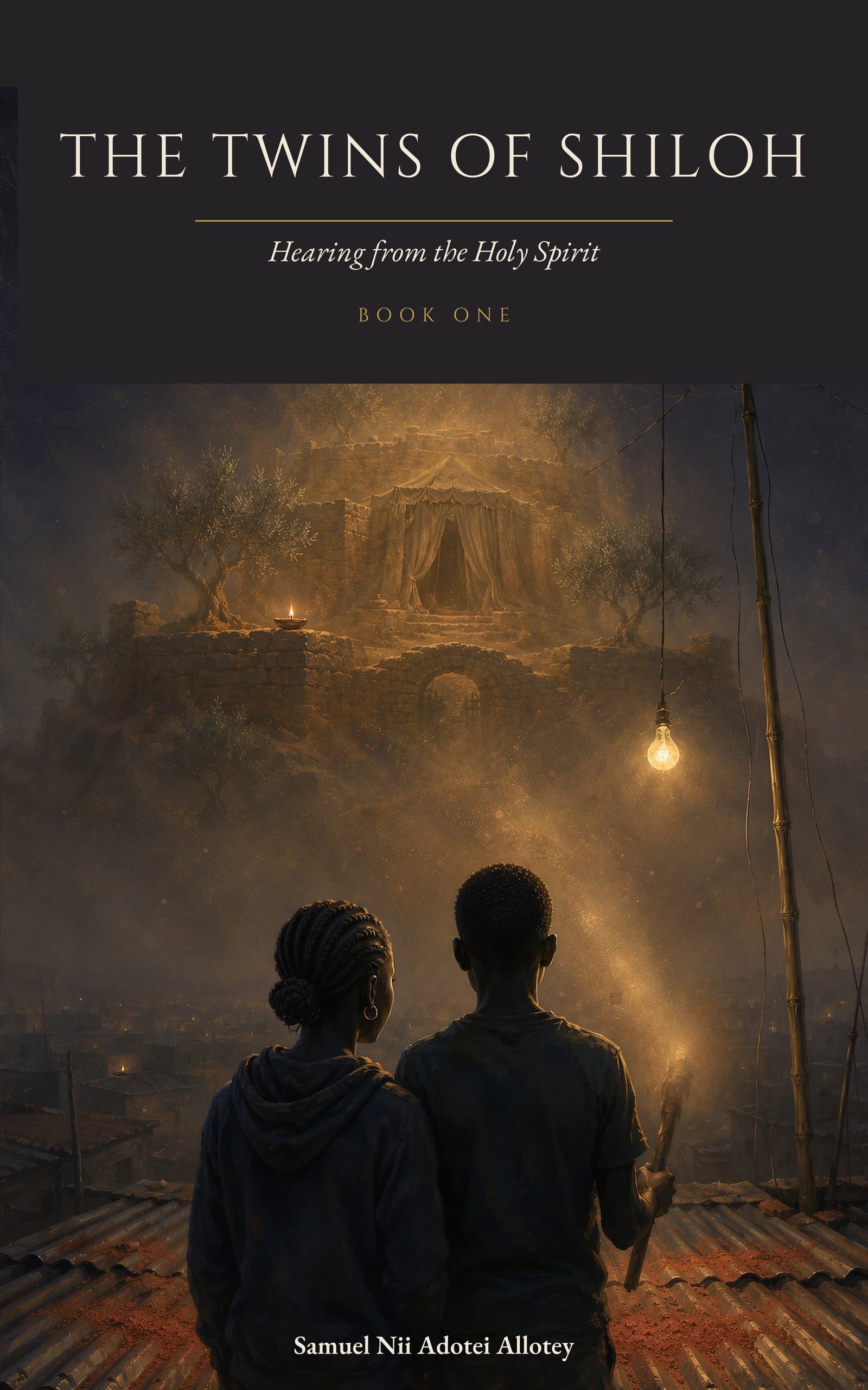 The Twins of Shiloh - Book 1