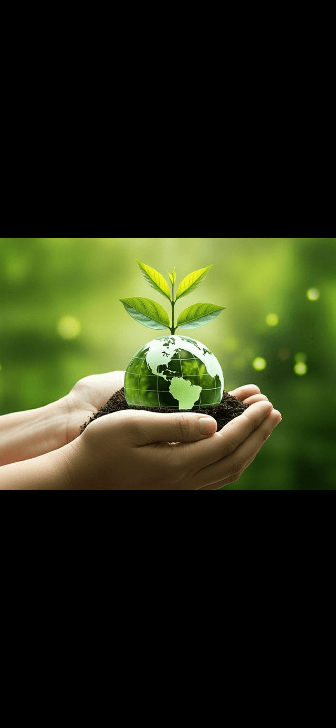 Sustainability Drive